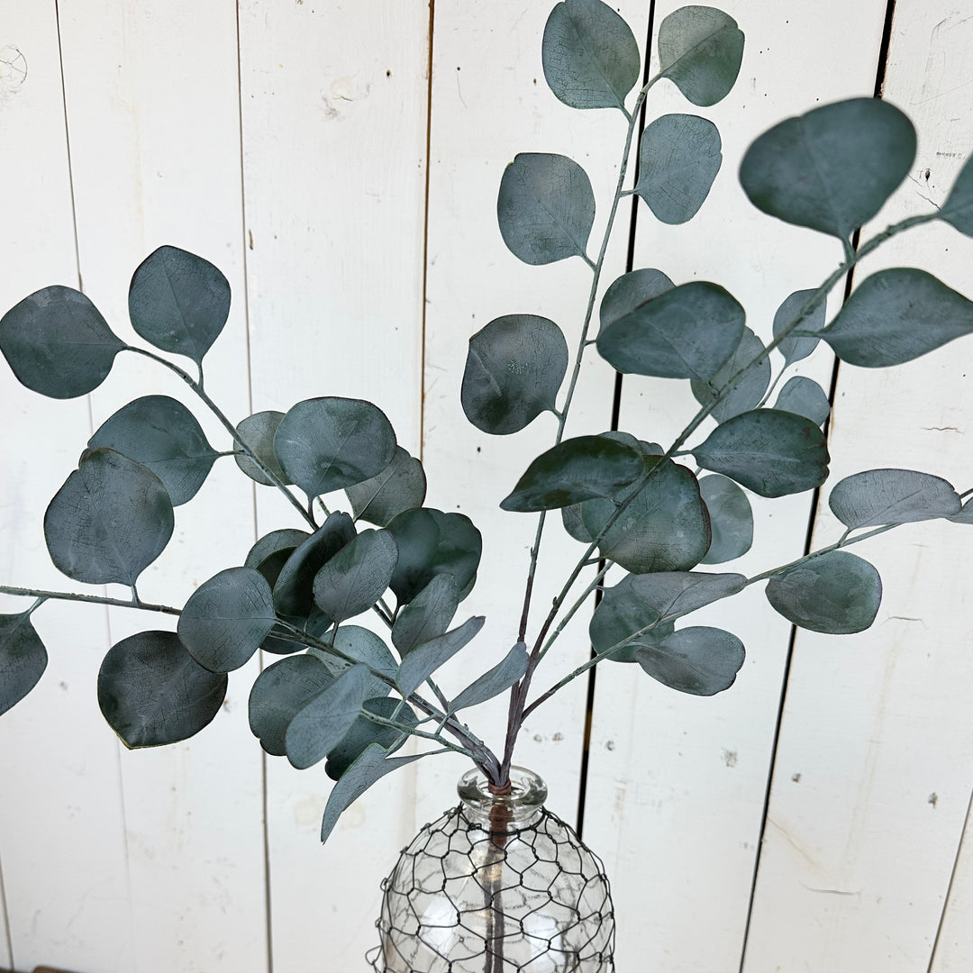 Silver Dollar Eucalyptus Bundles