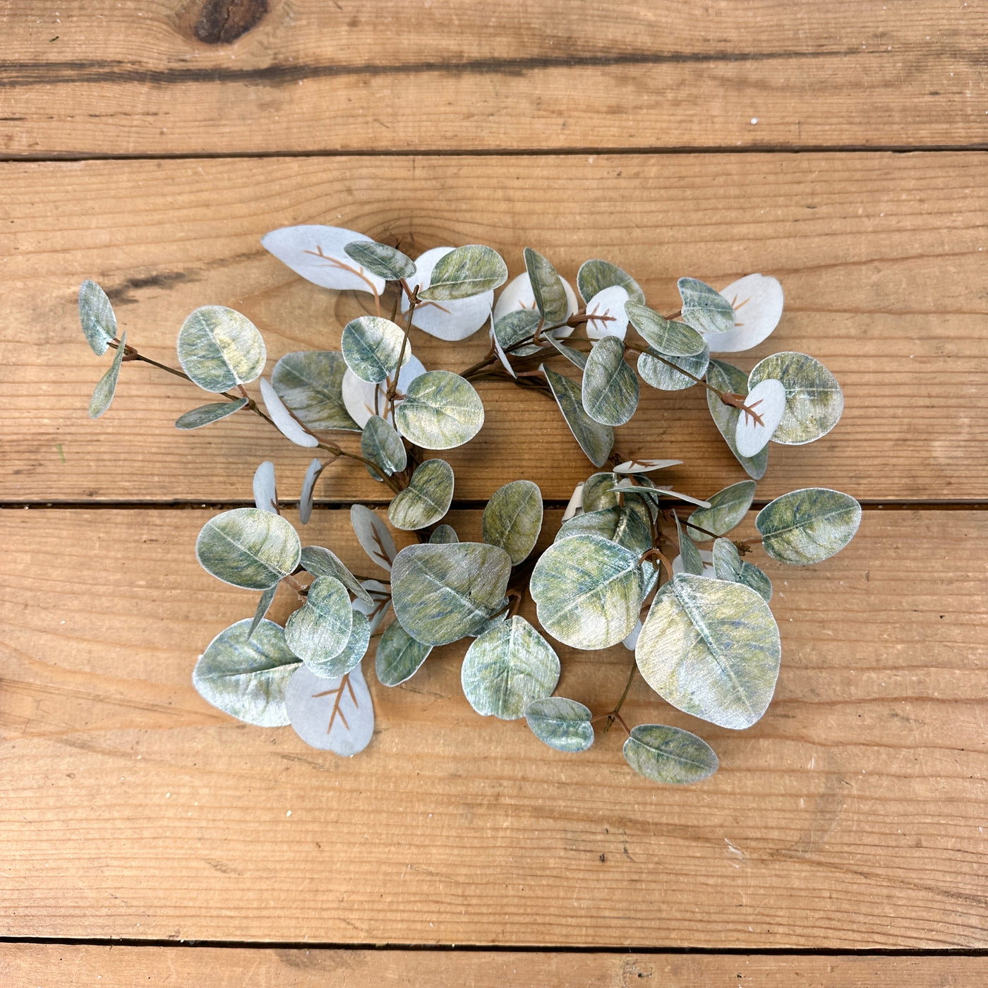 Sparkly Eucalyptus Collection