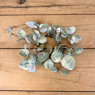 Sparkly Eucalyptus Collection
