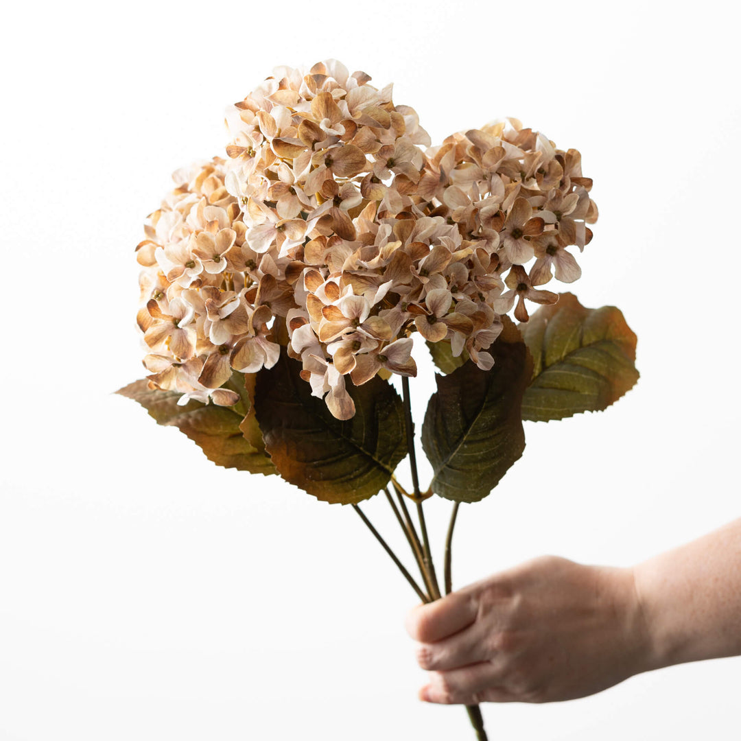 Hydrangea Bush - 3 Colors