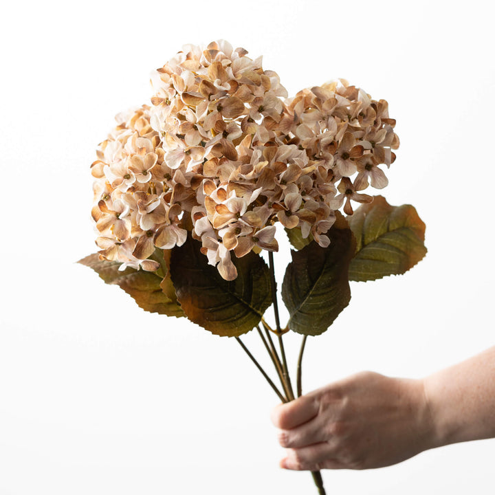 Hydrangea Bush - 3 Colors
