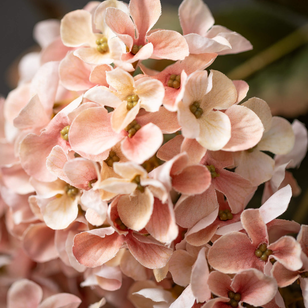 Hydrangea Bush - 3 Colors