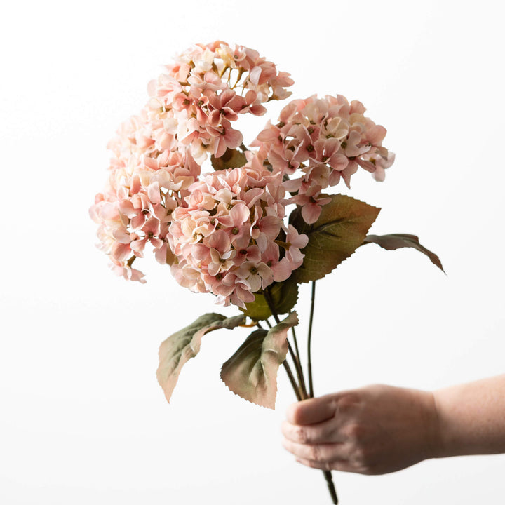 Hydrangea Bush - 3 Colors