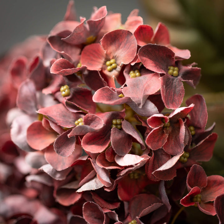 Hydrangea Bush - 3 Colors