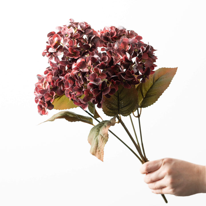 Hydrangea Bush - 3 Colors