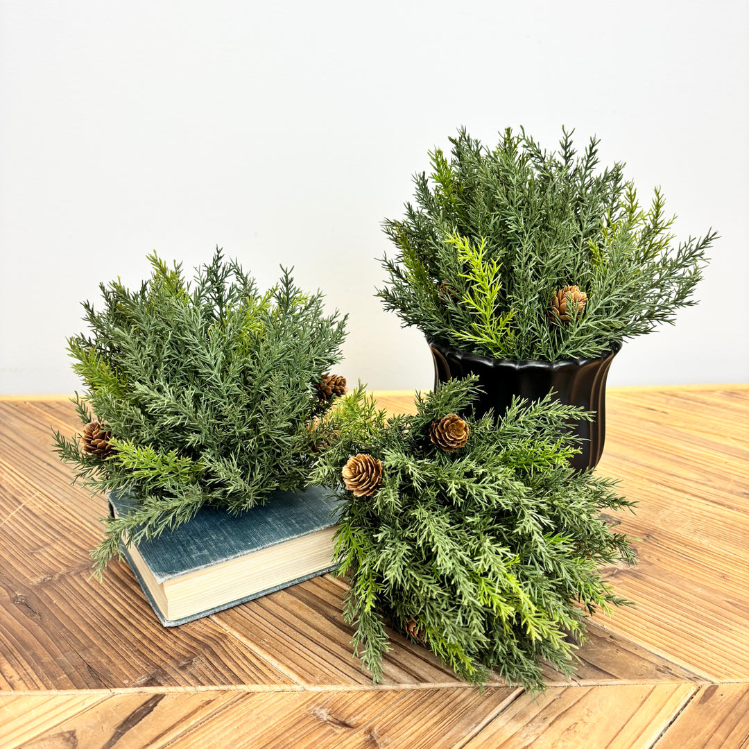Arborvitae Half Orb