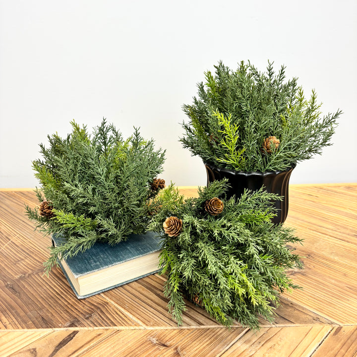 Arborvitae Half Orb