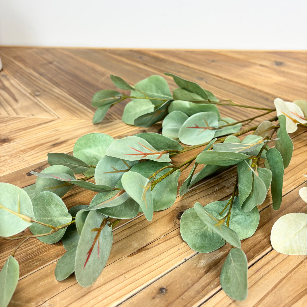 Silver Dollar Eucalyptus Spray - 2 Colors