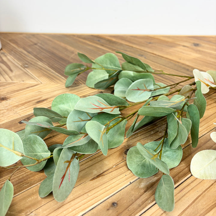 Silver Dollar Eucalyptus Spray - 2 Colors