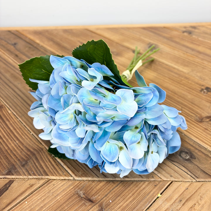 Hydrangea - 3 Colors