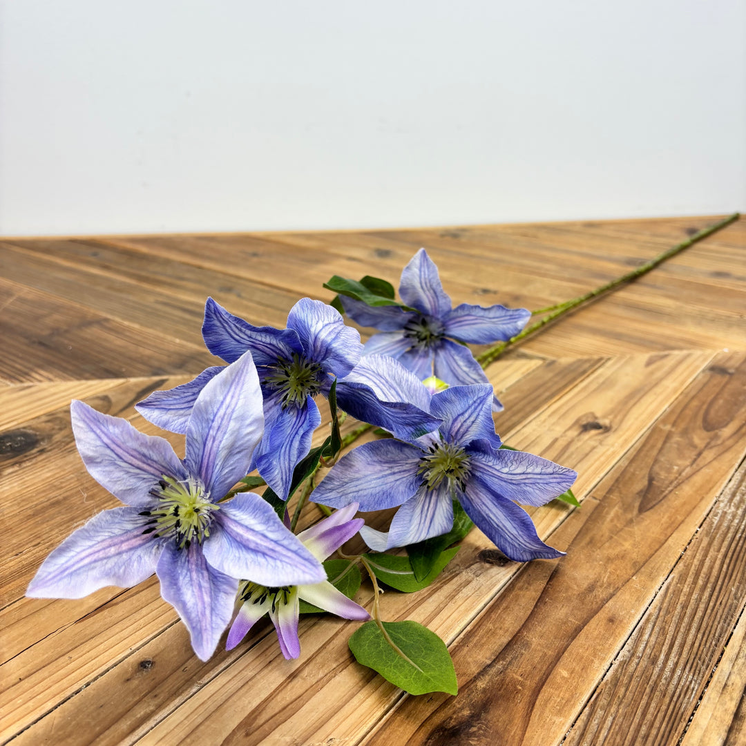 Clematis Spray - 2 Colors