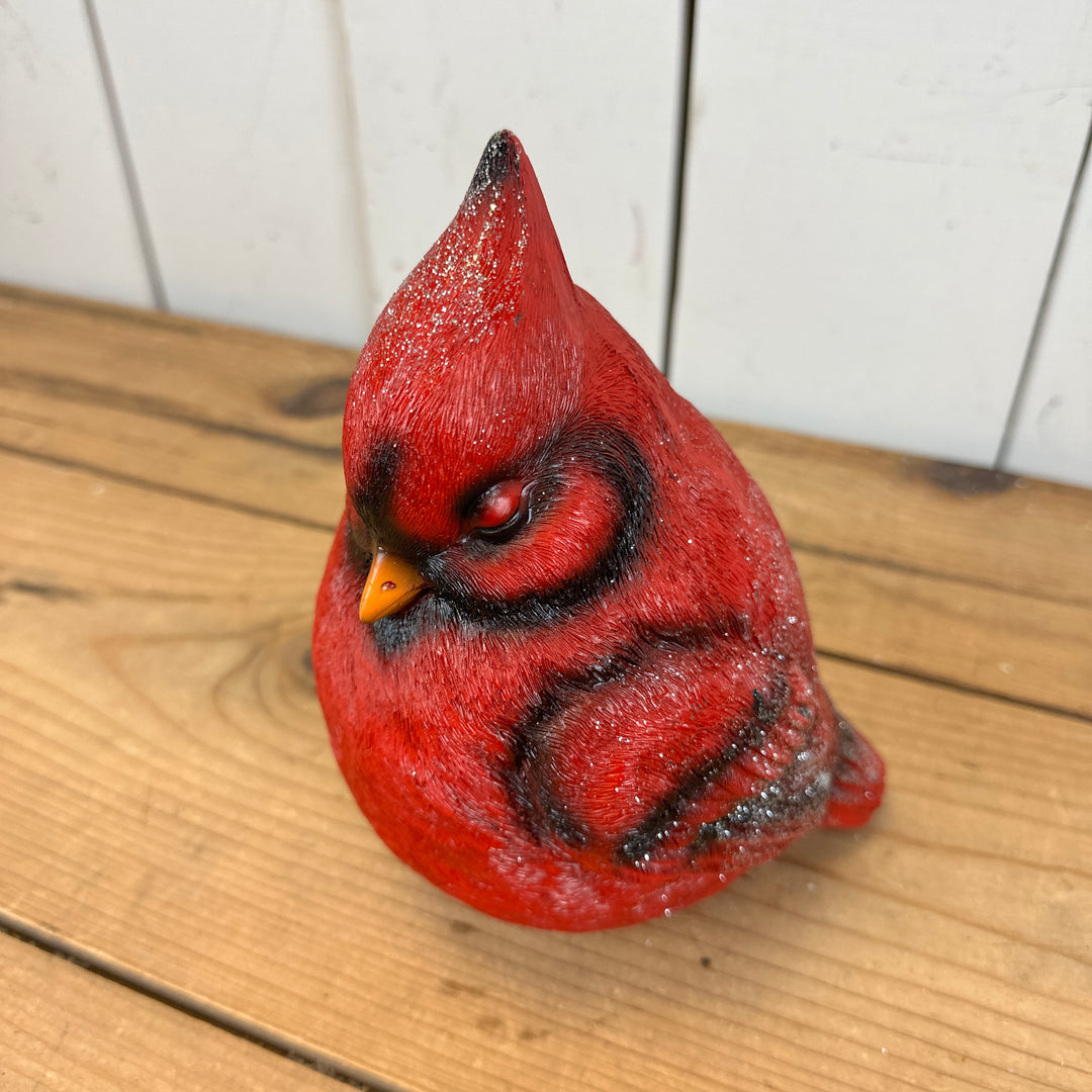 Large Sleeping Cardinal