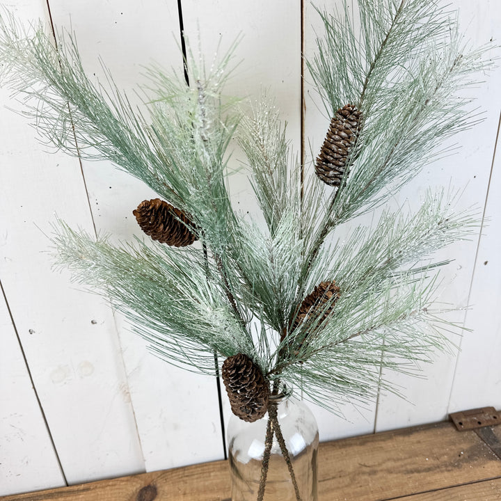 Icy Long Pine Stem
