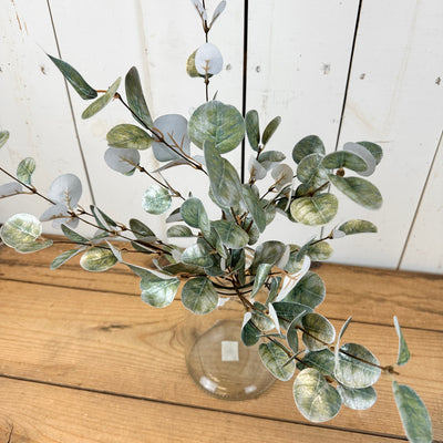 Sparkly Eucalyptus Collection
