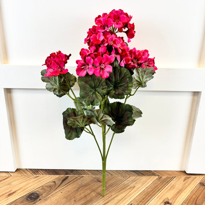 Geranium Bush