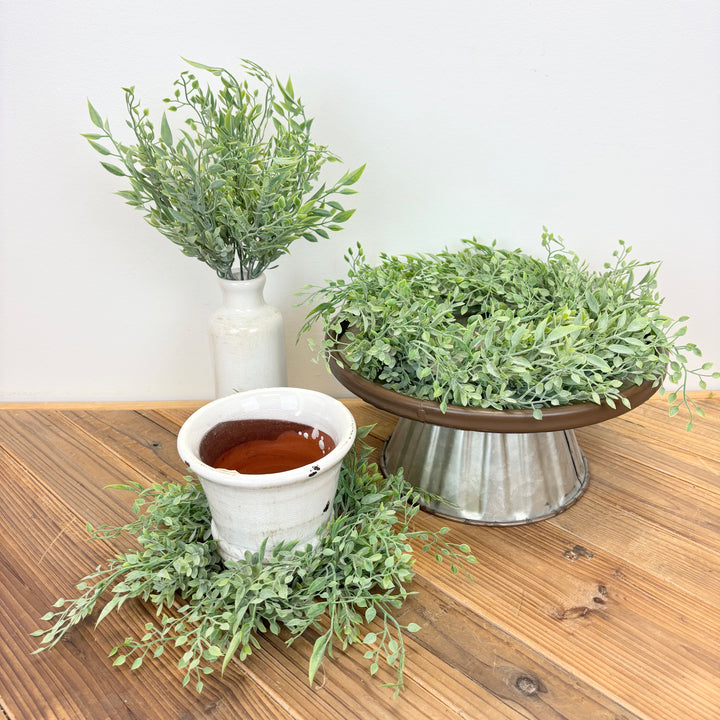 Baby Tears Collection