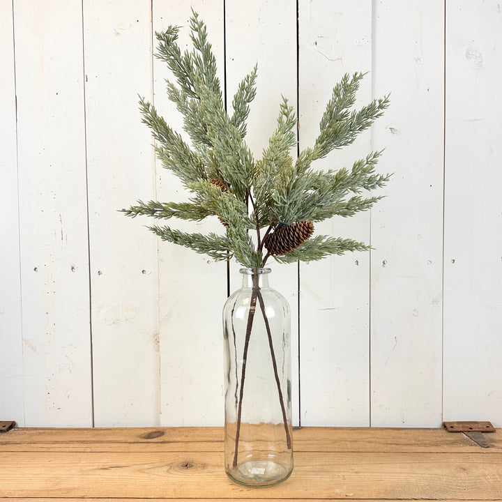 Long Pine Spray