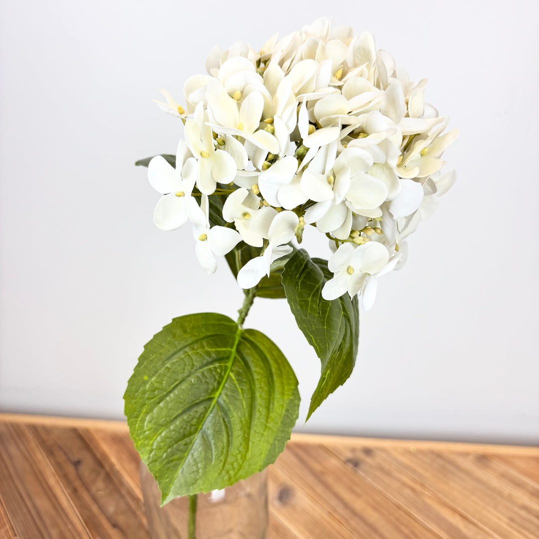 Hydrangea Spray - Cream/White
