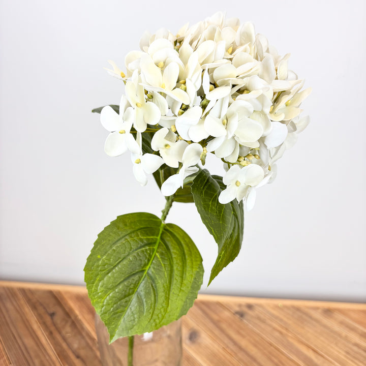 Hydrangea Spray - Cream/White