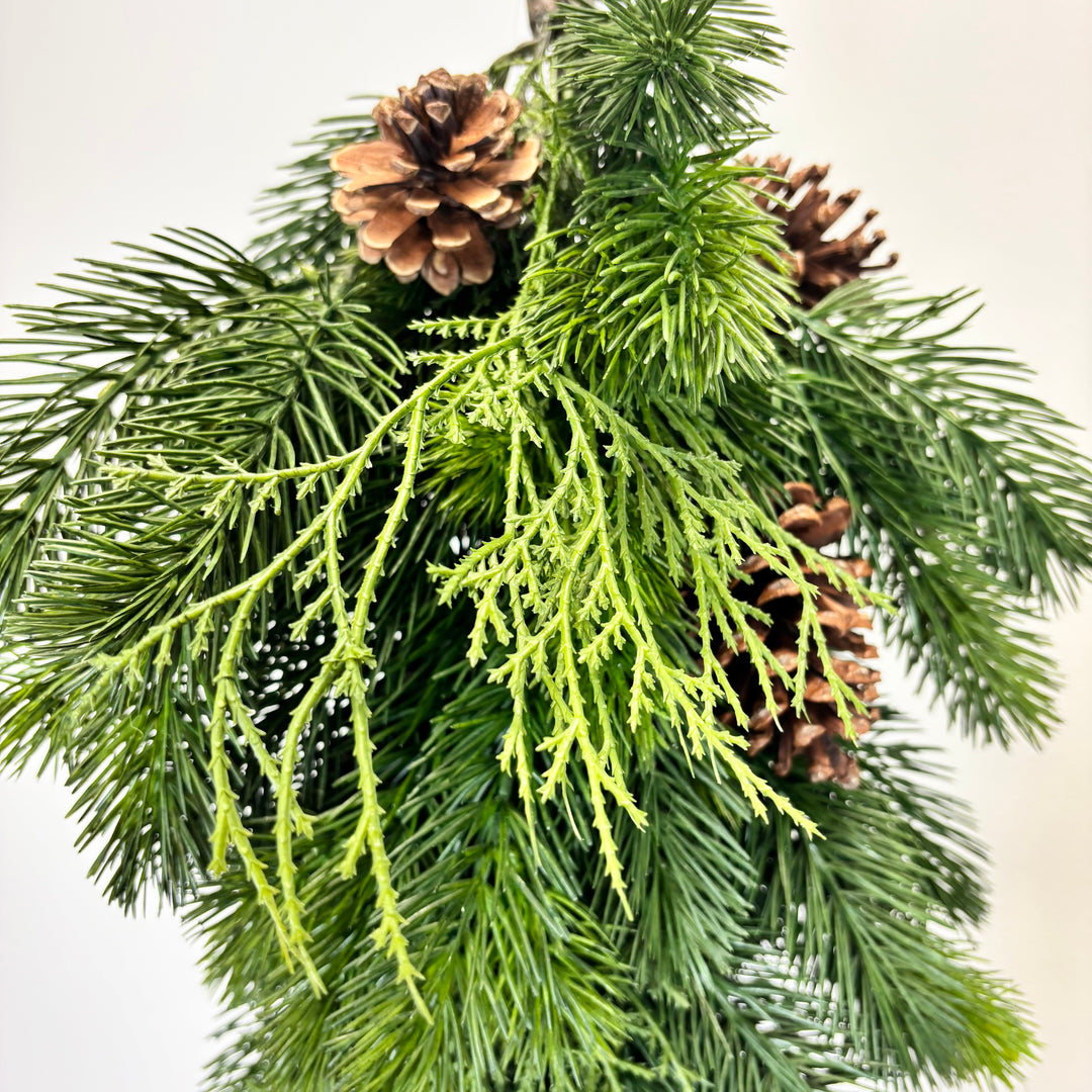 Evergreen Collection