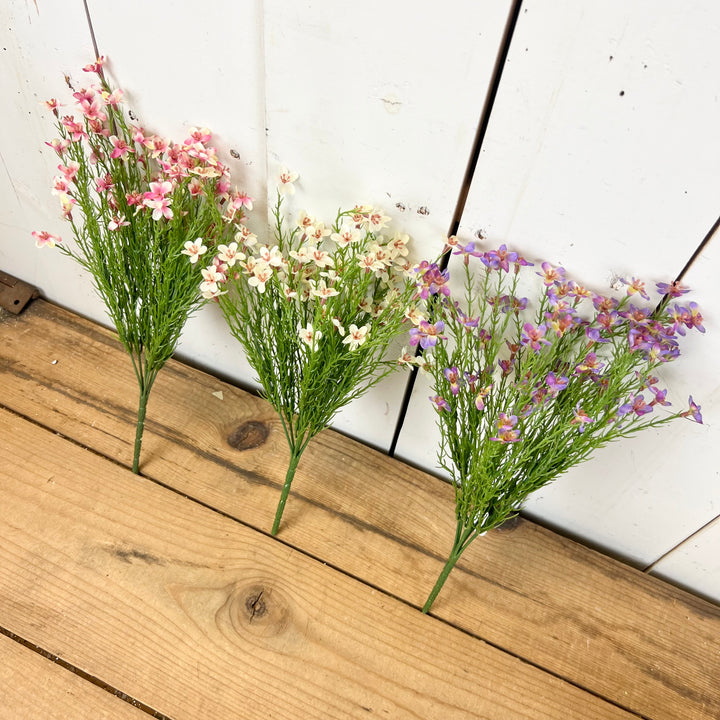 Wax Flower Stems