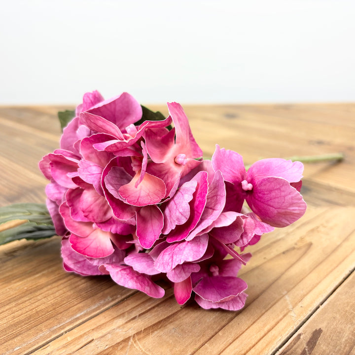 Hydrangea Stems - 3 Colors