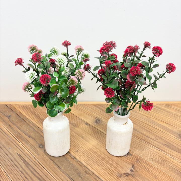 Mini Pom Bush - 2 Colors