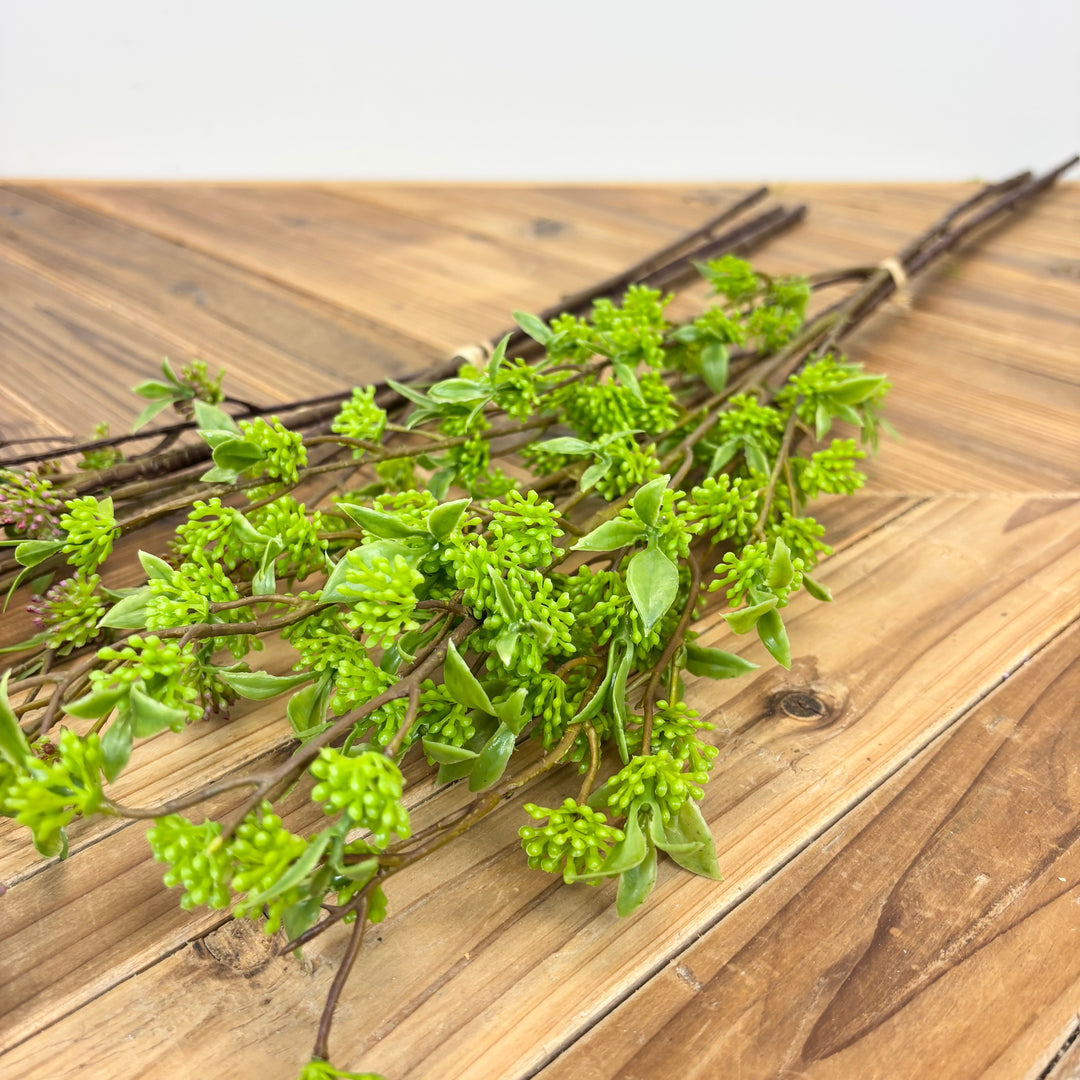 Berry Bundle - 2 Colors