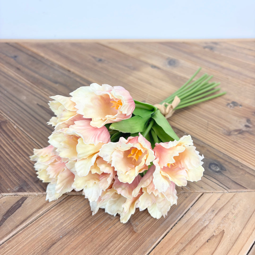 Parrot Tulip Bundle - 2 Colors