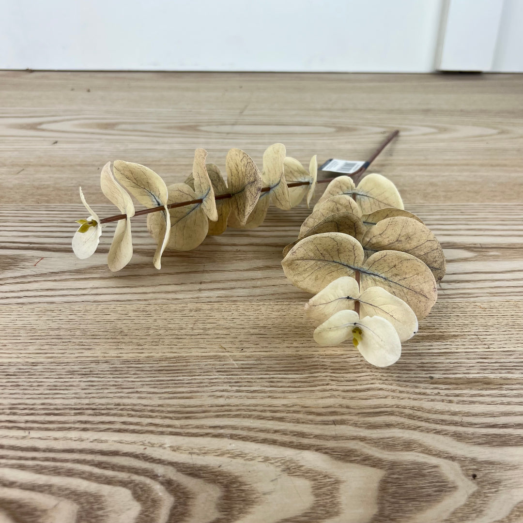 Eucalyptus Pick - 3 Colors