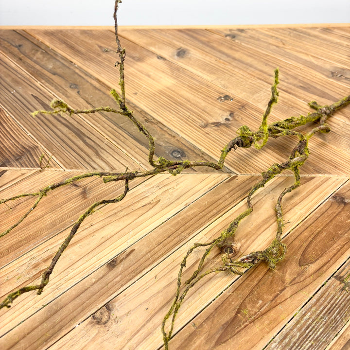 Mossy Twig Spray