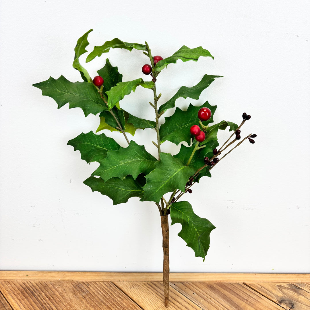 Holly Stem