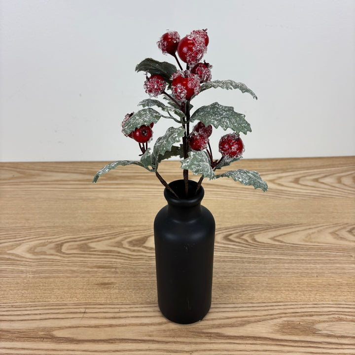 Iced Berry and Leaf Stem