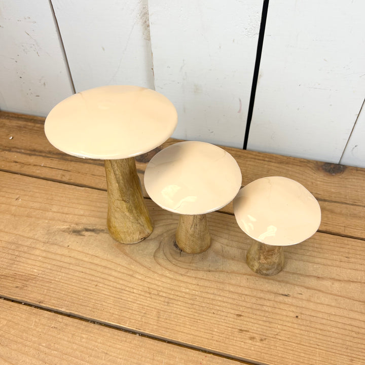 Tan Mushrooms