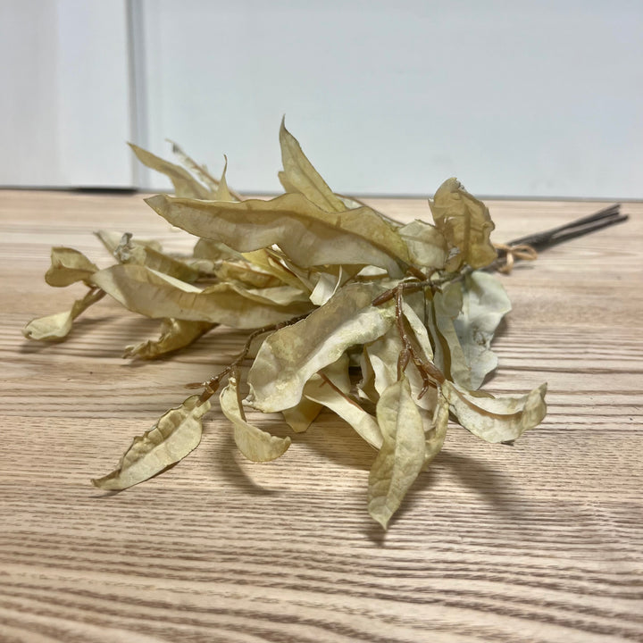 Dried Laurel Leaf Bundles