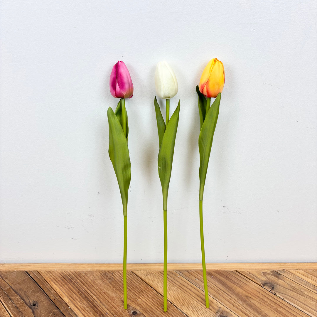 Tulip Stem - 3 Colors