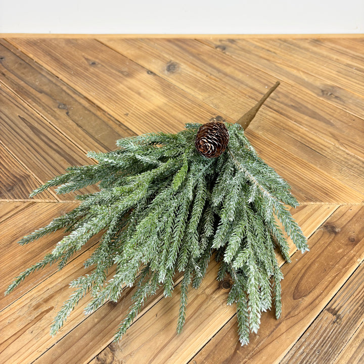 Frosted Austrian Pine Bush