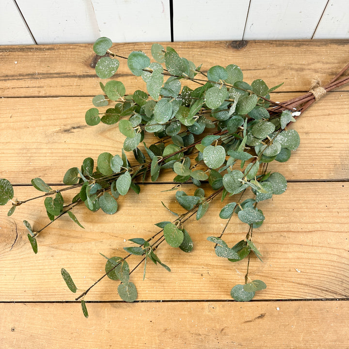 Sparkly Eucalyptus Tall Stem Bundle