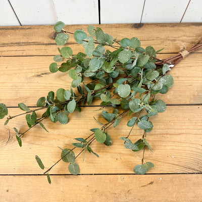 Sparkly Eucalyptus Tall Stem Bundle