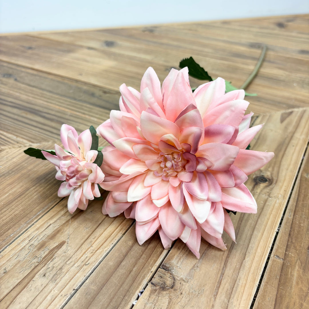 Dahlia Stem - Peach