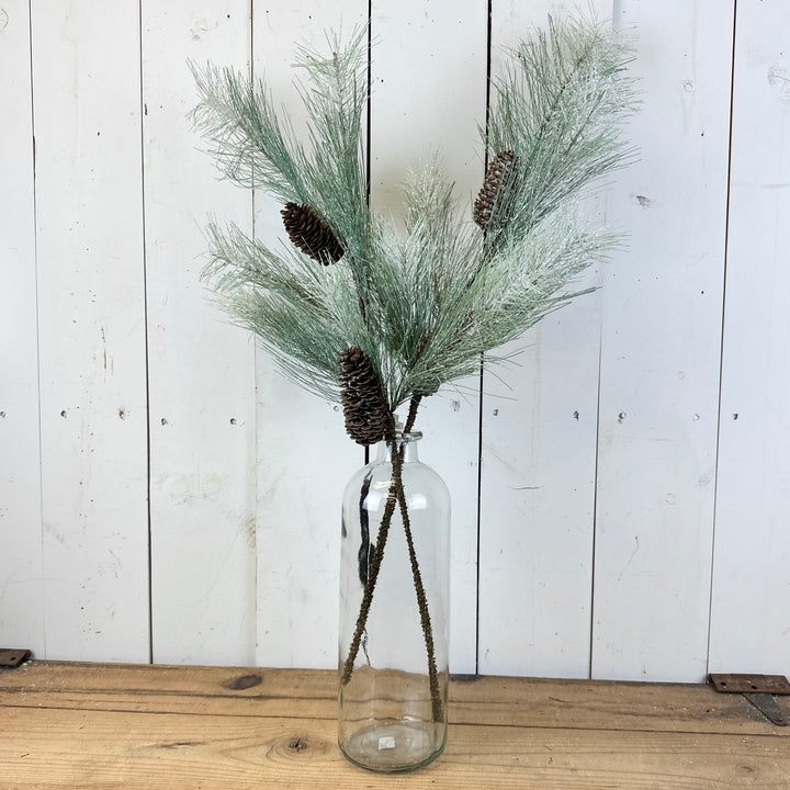 Icy Long Pine Stem