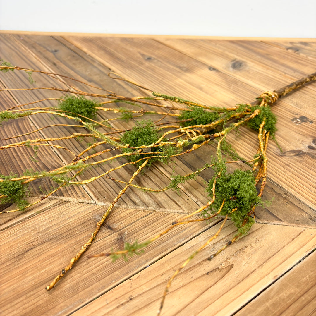 Mossy Twig Collection