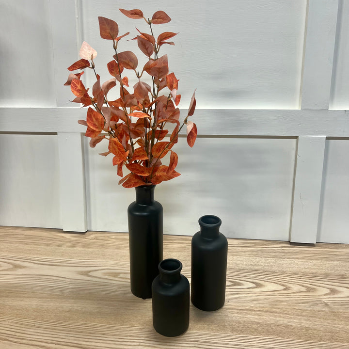 Fall Eucalyptus Stems
