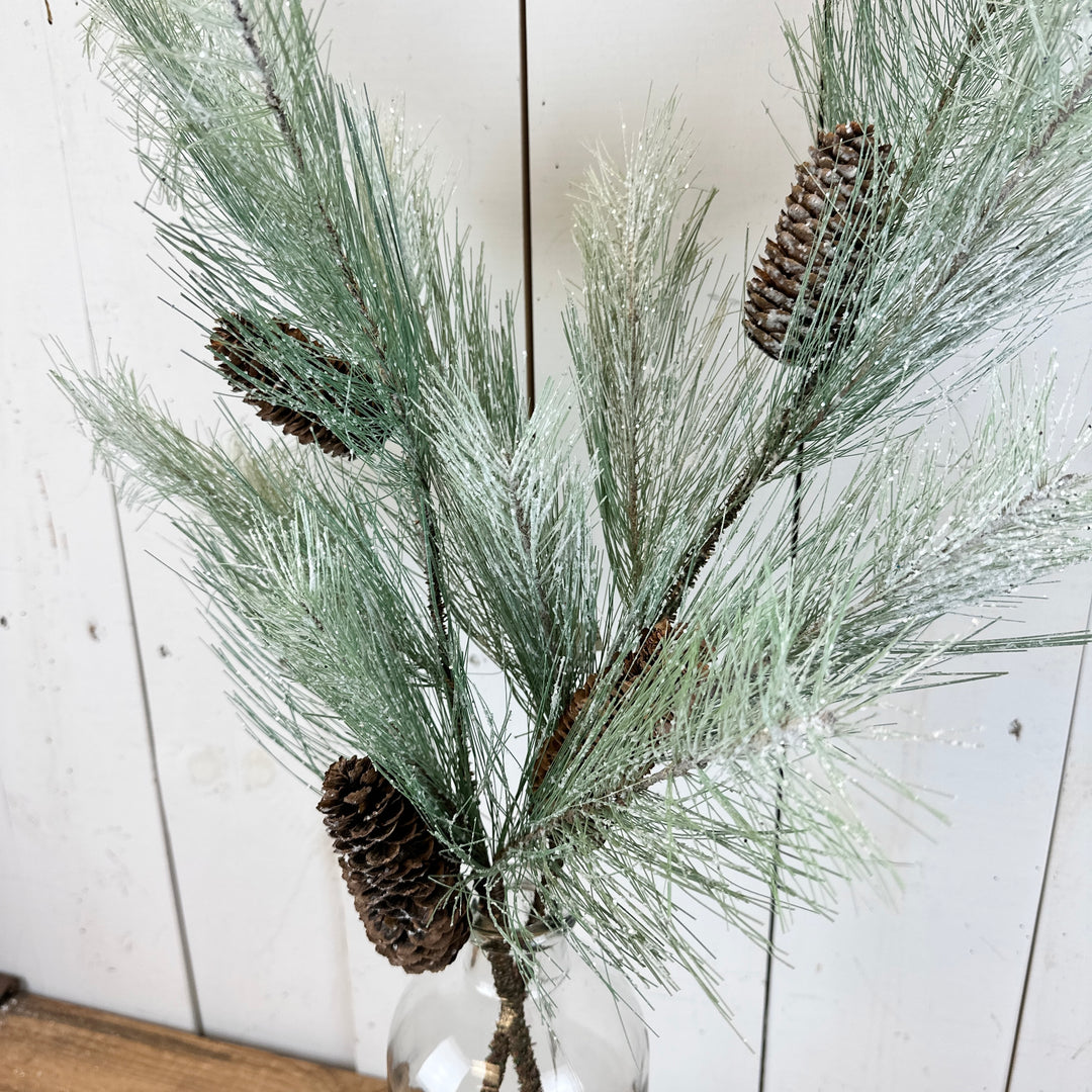 Icy Long Pine Stem