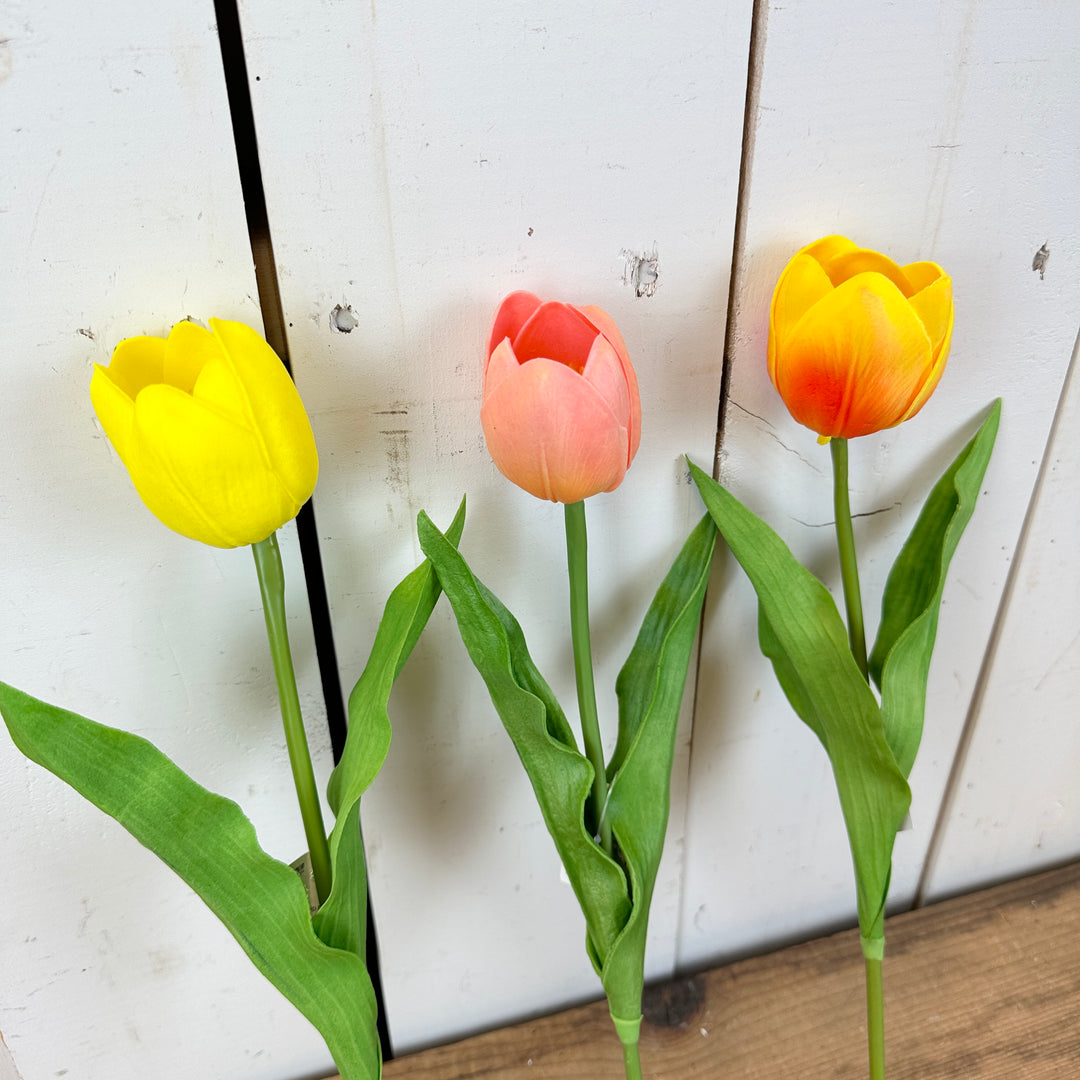 Real-Feel Single Jumbo Tulip Stem