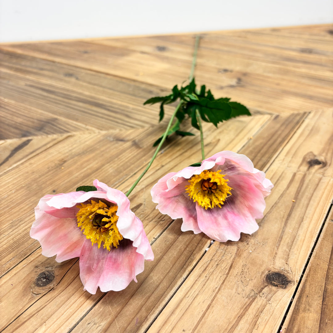 Poppy Spray - 3 Colors