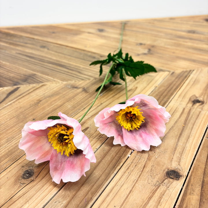 Poppy Spray - 3 Colors