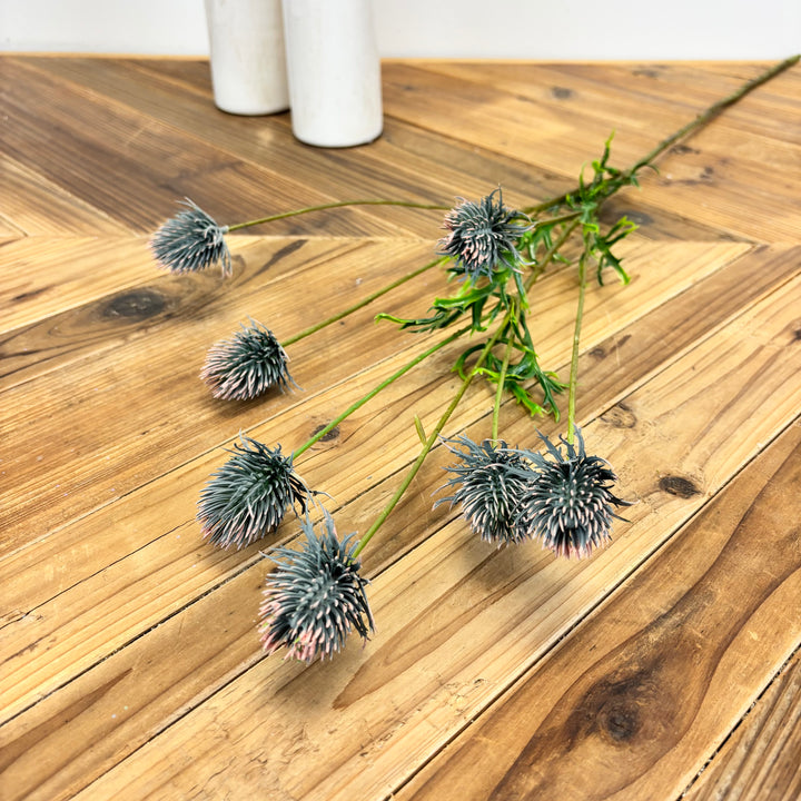 Blue Thistle Stem