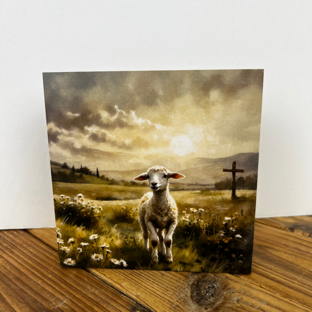 Spring Wooden Blocks