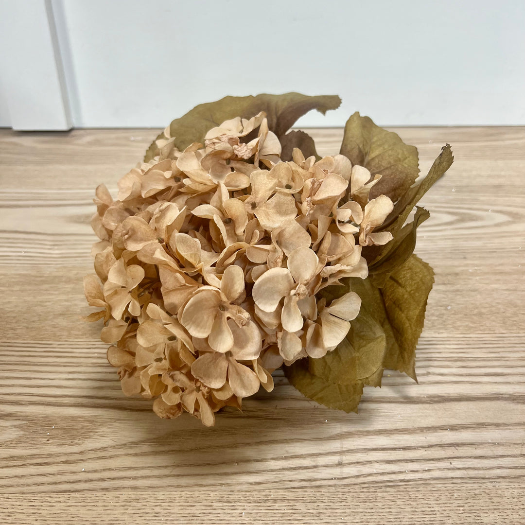 Fall Hydrangea Bushes